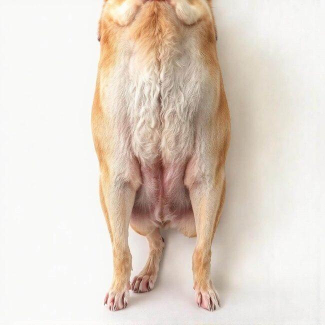 Częstsze oddawanie moczu