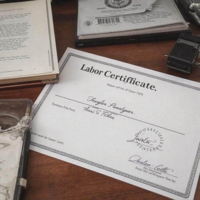 Oświadczenie pracodawcy